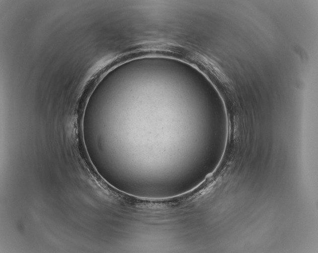 X0000111871164200907231507