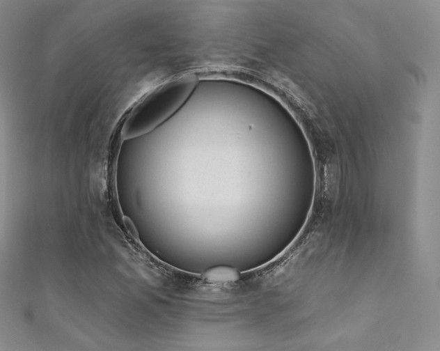 X0000111871165200907231507