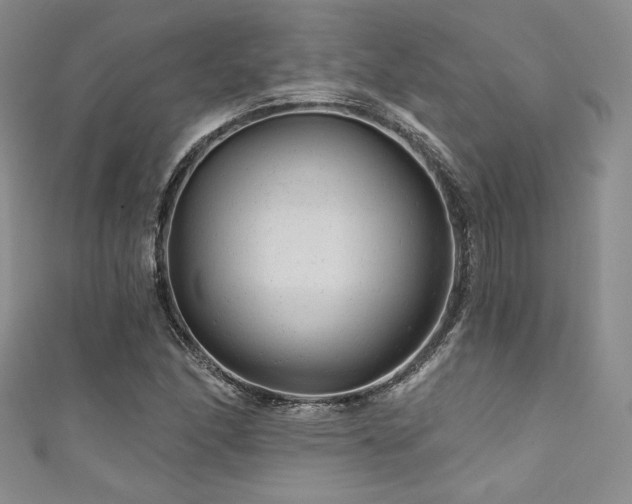 X0000111871166200907231507