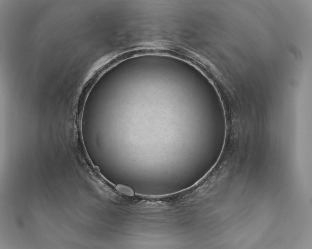 X0000111871168200907231507