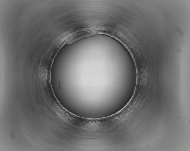 X0000111871169200907231507