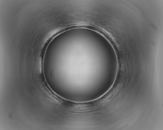 X0000111871171200907231507