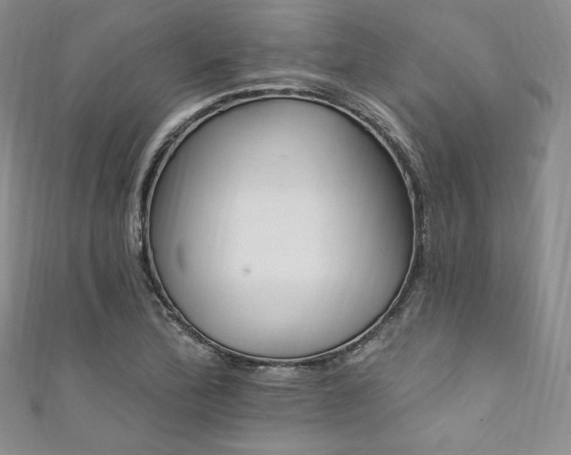 X0000111871172200907231507