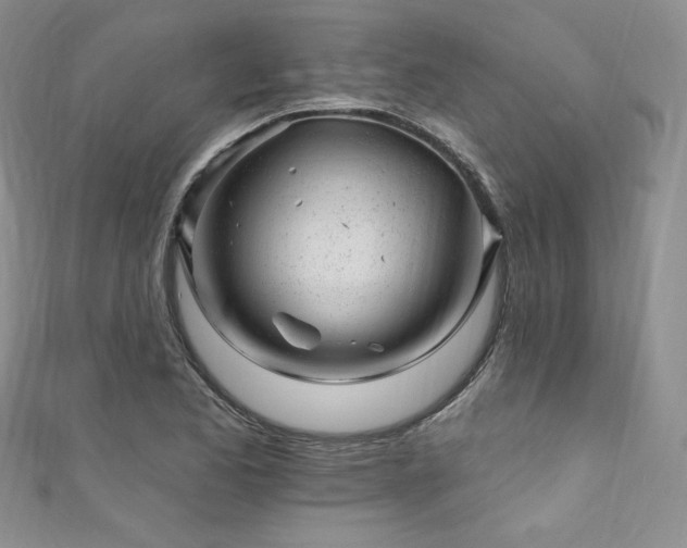 X0000111871173200907231507