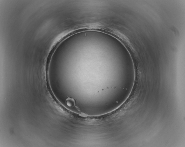 X0000111871176200907231506