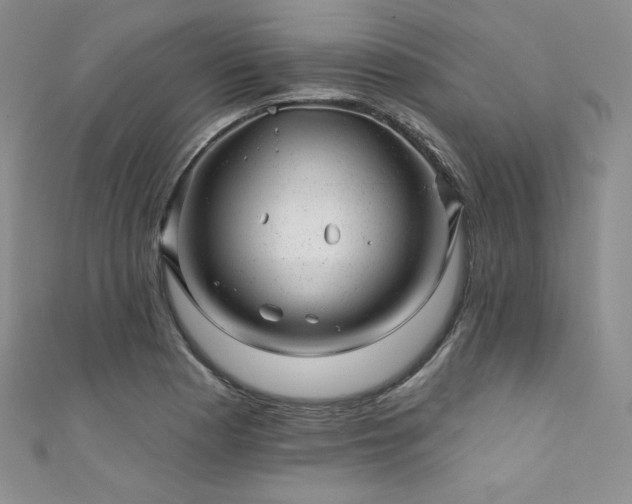 X0000111871177200907231506