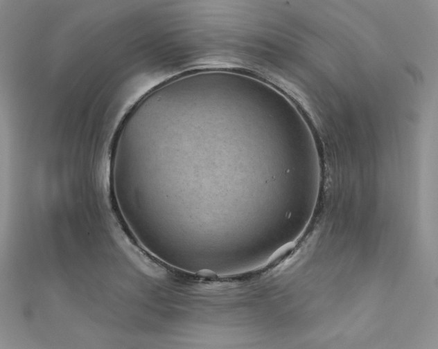 X0000111871179200907231506