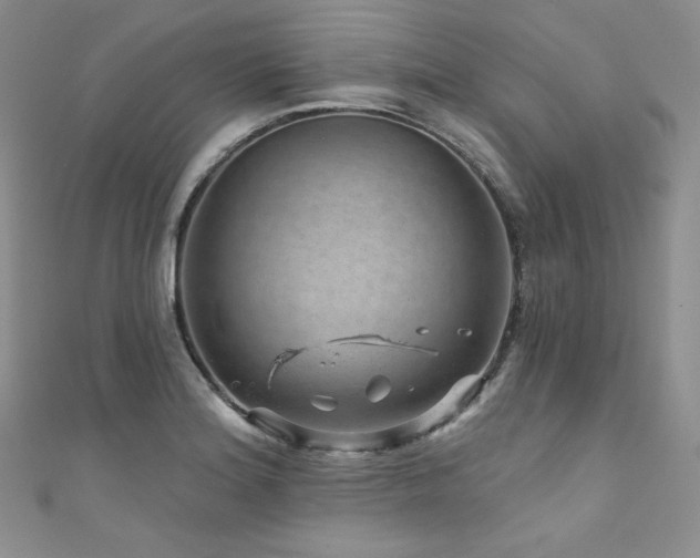 X0000111871180200907231506