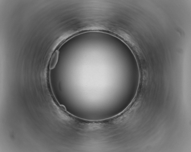 X0000111871181200907231506