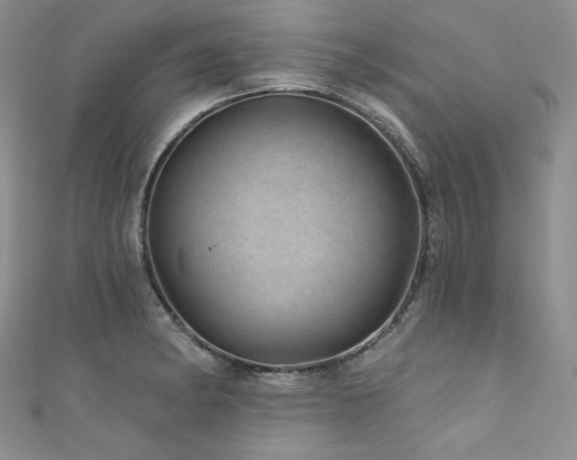 X0000111871182200907231506