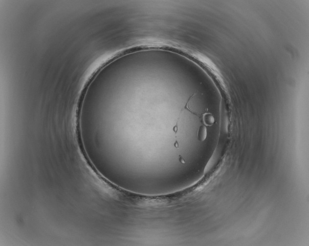 X0000111871183200907231506