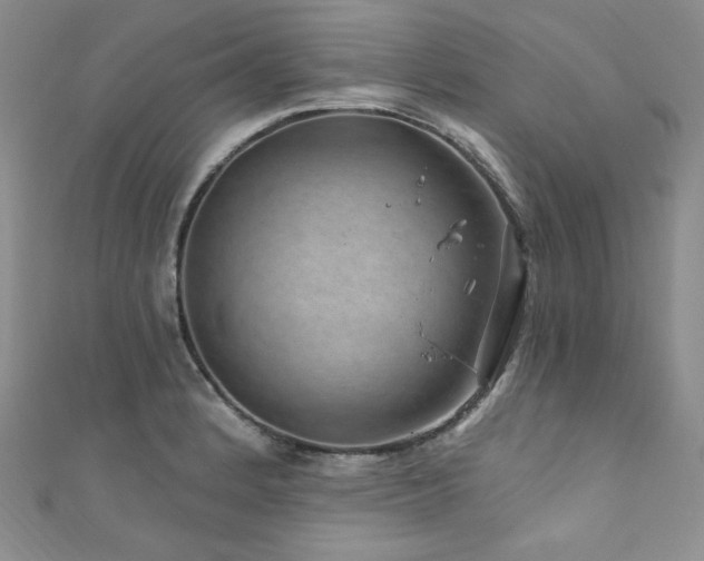 X0000111871184200907231506