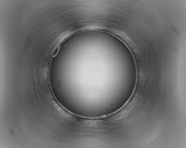 X0000111871185200907231506