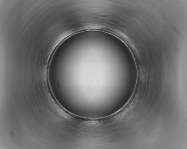 X0000111871186200907231506