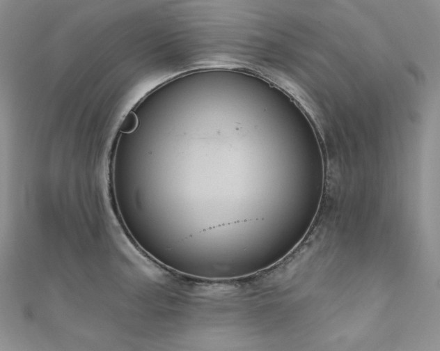 X0000111871187200907231506