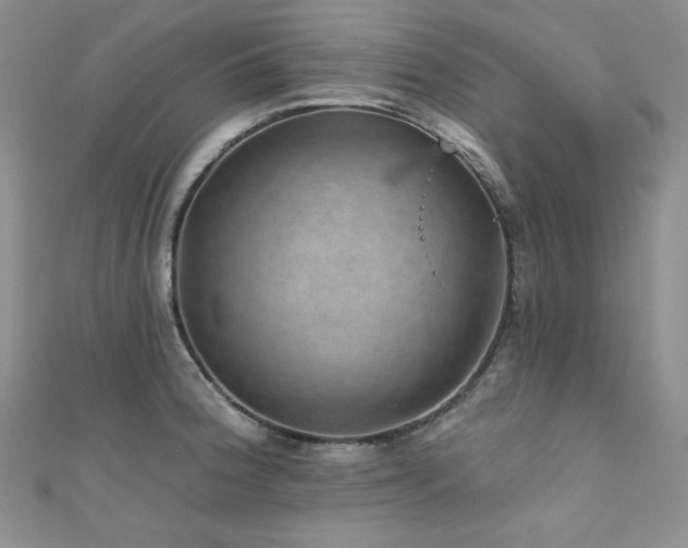X0000111871188200907231506