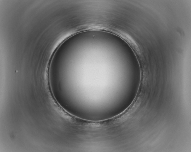 X0000111871190200907231506