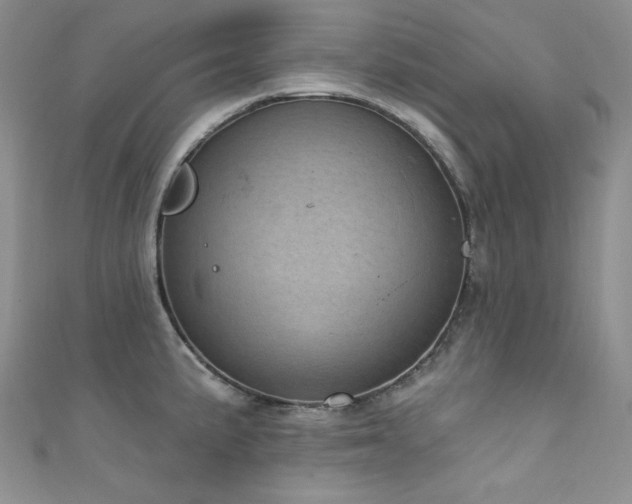 X0000111871191200907231506