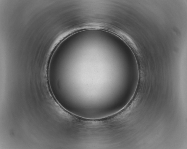 X0000111871192200907231506
