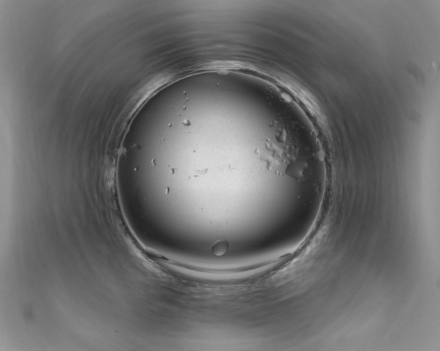 X0000111871193200907231506