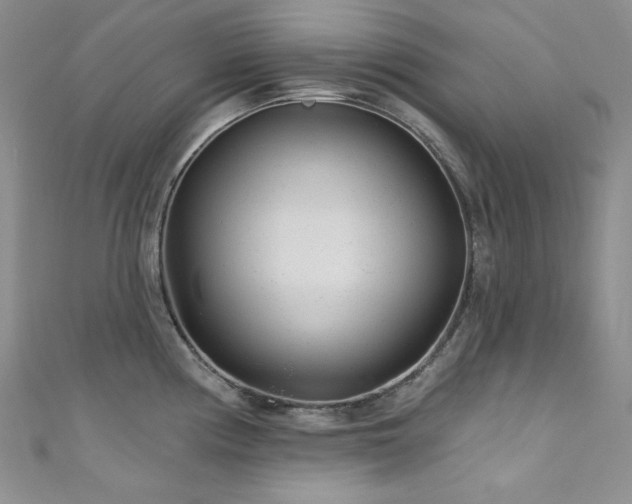 X0000111871194200907231506