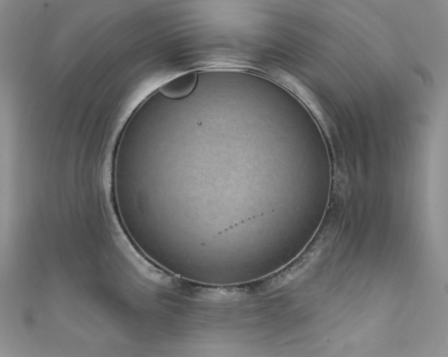 X0000111871195200907231506