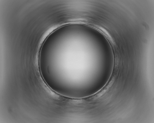 X0000111871196200907231506