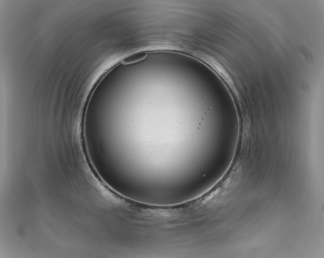 X0000111871197200907231506