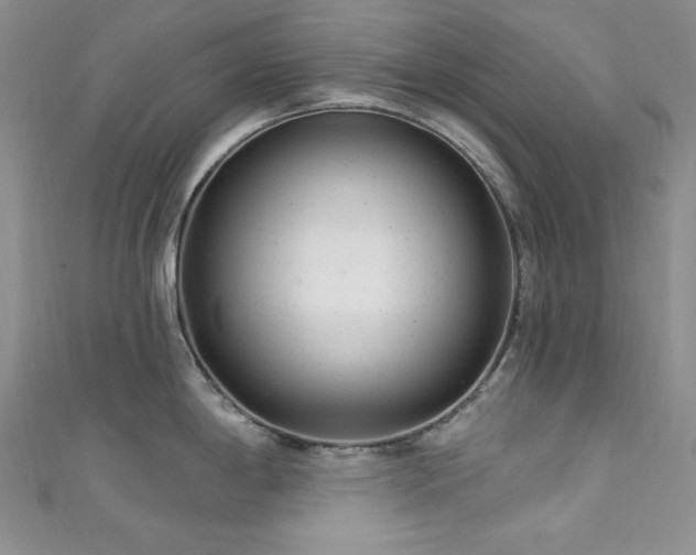 X0000111871198200907231506