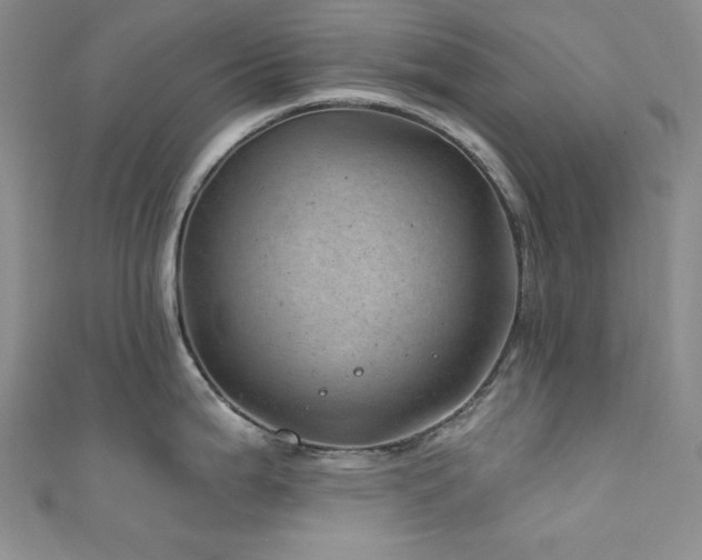 X0000111871199200907231506