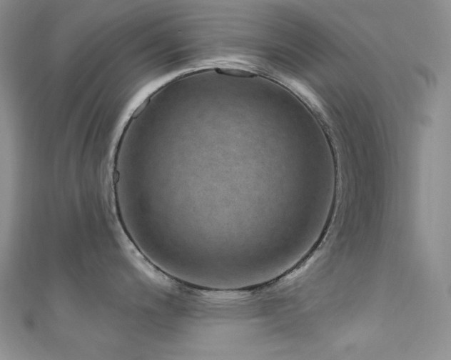 X0000111871200200907231506