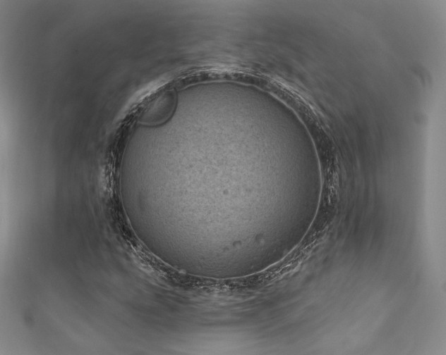 X0000111871207200907231506