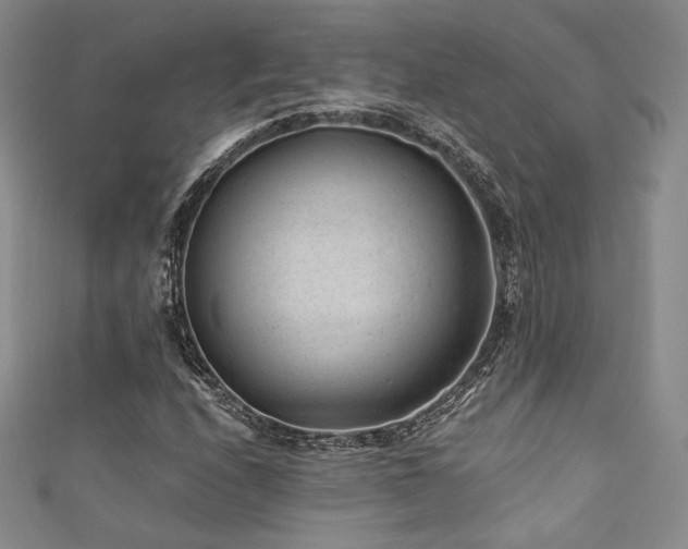 X0000111871208200907231506
