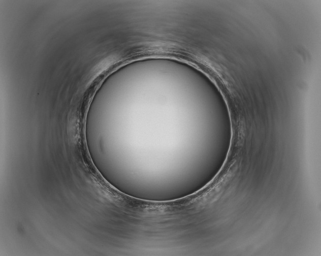 X0000111871211200907231506