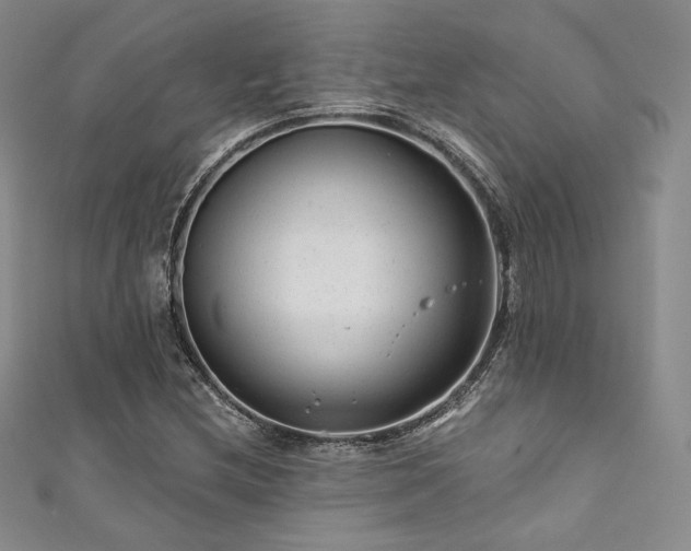 X0000111871212200907231506