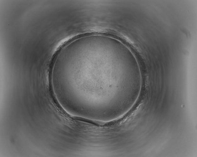 X0000111871214200907231506
