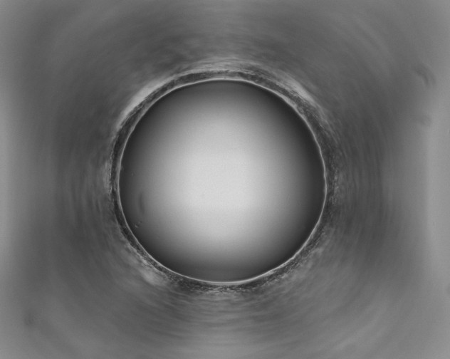 X0000111871216200907231506