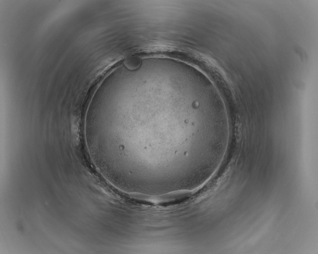 X0000111871217200907231506