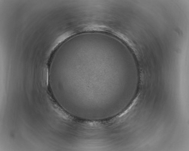 X0000111871219200907231506