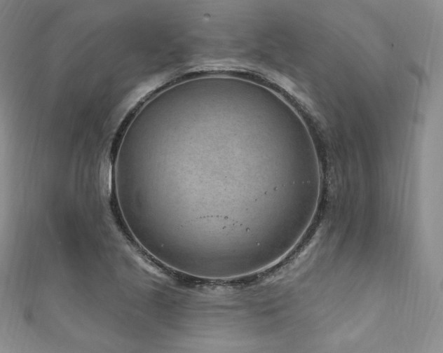 X0000111871221200907231506