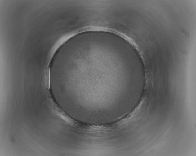 X0000111871223200907231506