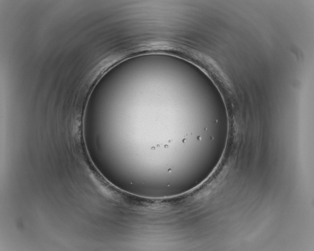 X0000111871225200907231506