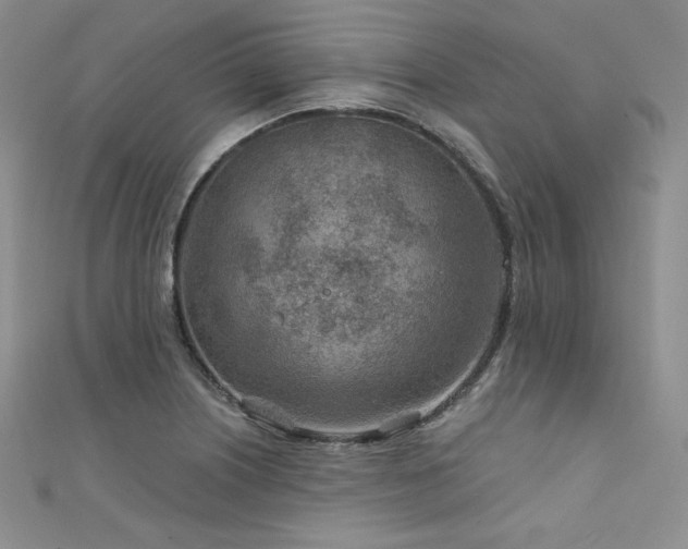 X0000111871226200907231506
