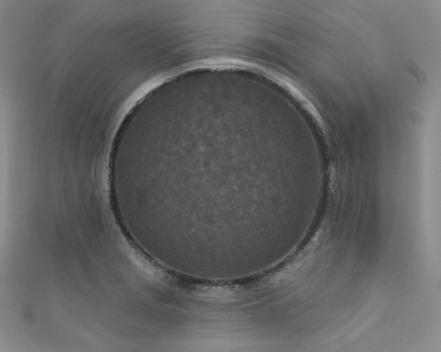 X0000111871229200907231506