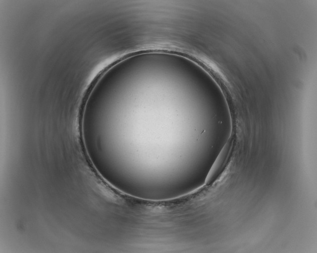 X0000111871230200907231506