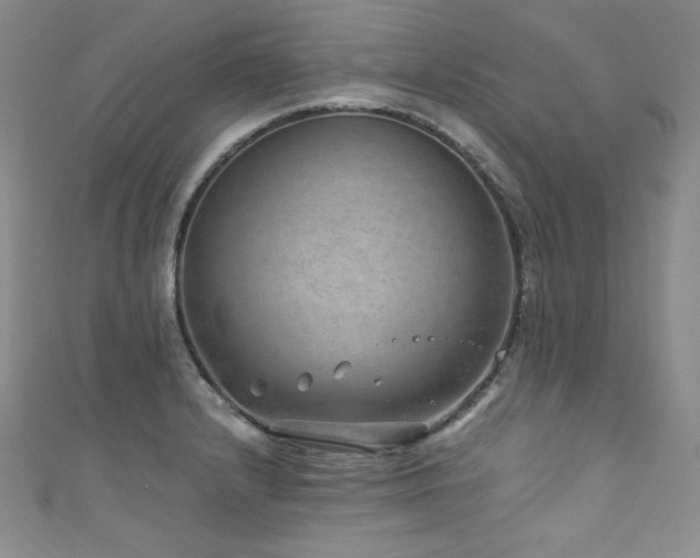 X0000111871232200907231506