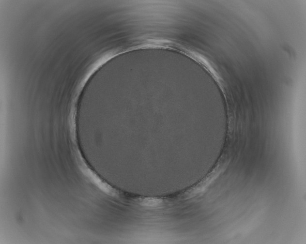 X0000111871235200907231506