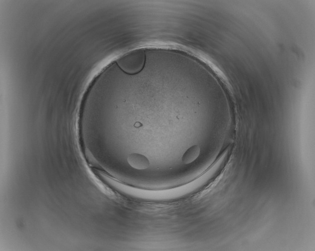 X0000111871237200907231506