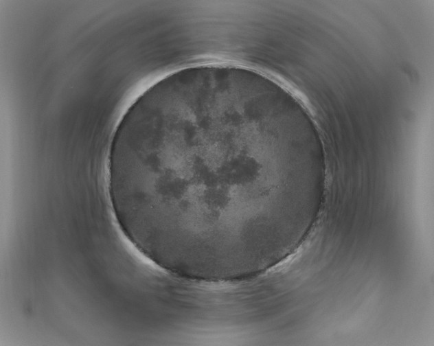 X0000111871239200907231506