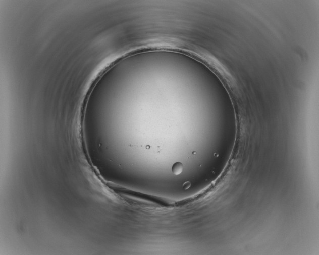 X0000111871240200907231506